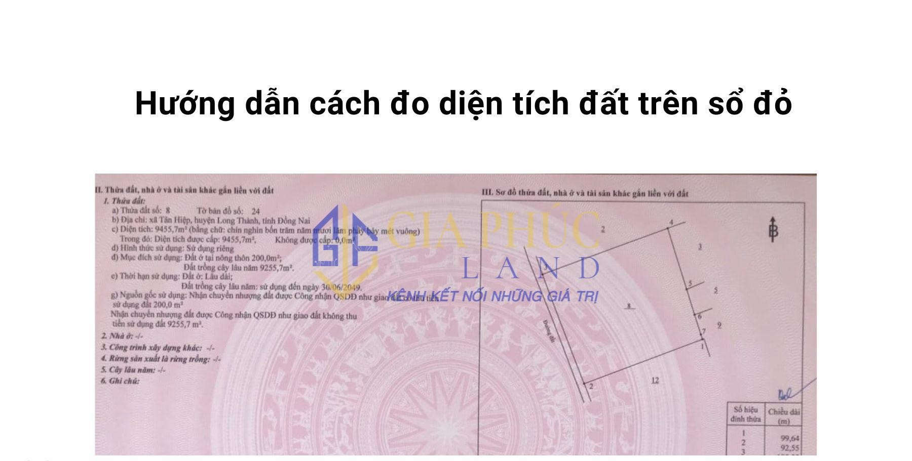 Hướng Dẫn Cách Tính Diện Tích Đất Trên Sổ Đỏ Đơn Giản, Chính Xác Nhất